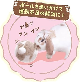 Amazon.co.jp: ミニアニマン たれ耳ちゃんのうさけつボール : ドラッグ