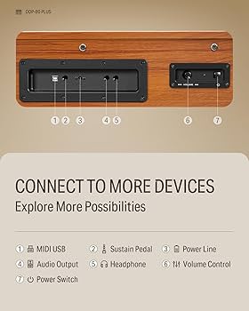 Amazon.com: Donner DDP-80 PLUS Digital Piano 88 Key Weighted