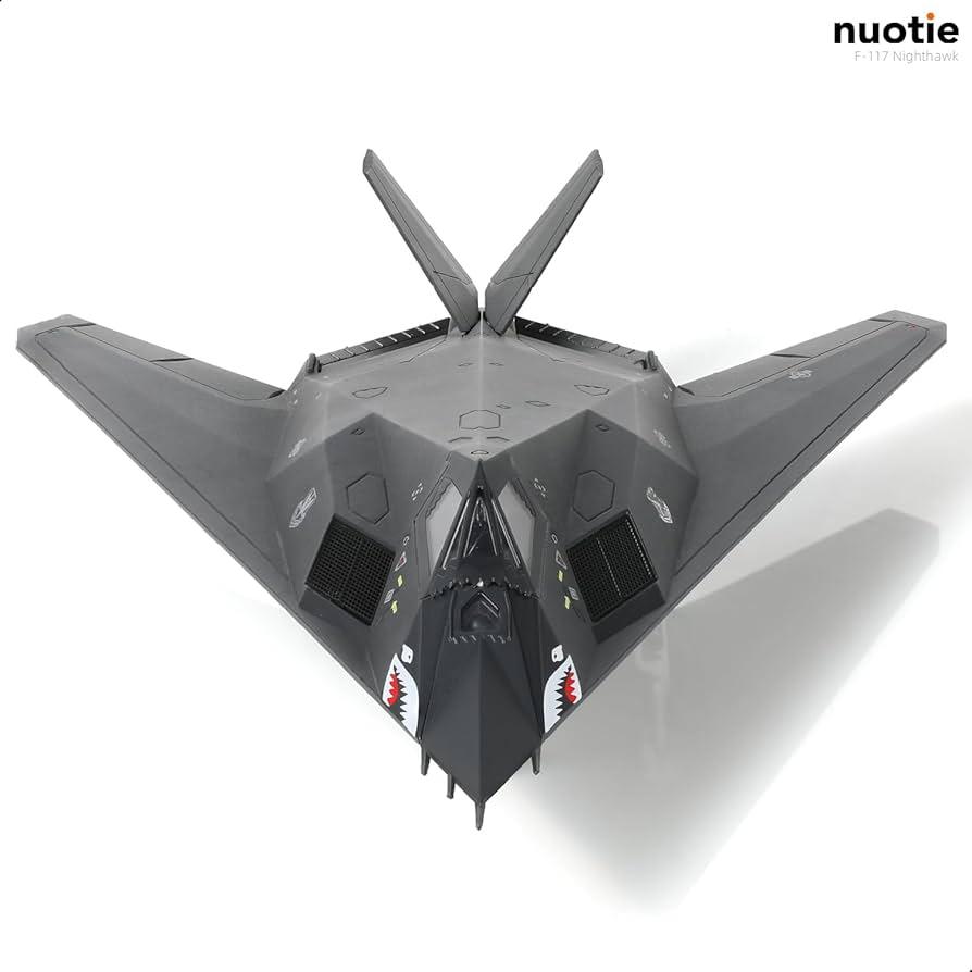 Amazon.com: NUOTIE 1/72 F-117 Nighthawk Stealth Striker Fighter