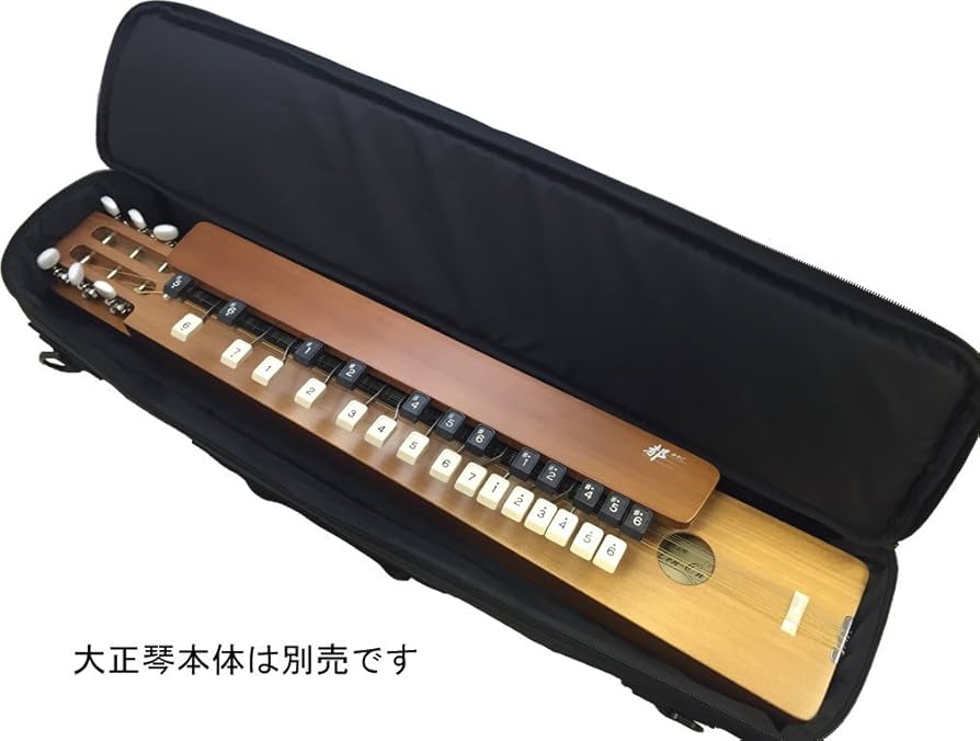 Amazon | ゼンオン 大正琴セミハードケース SH-85 BLK | 弦楽器ケース