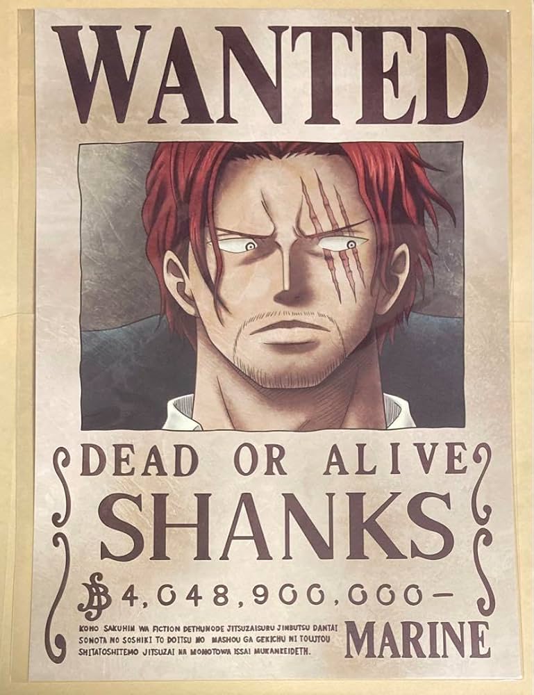 Amazon.co.jp: 麦わらストア ワンピース 手配書ポスター 海軍公式手配