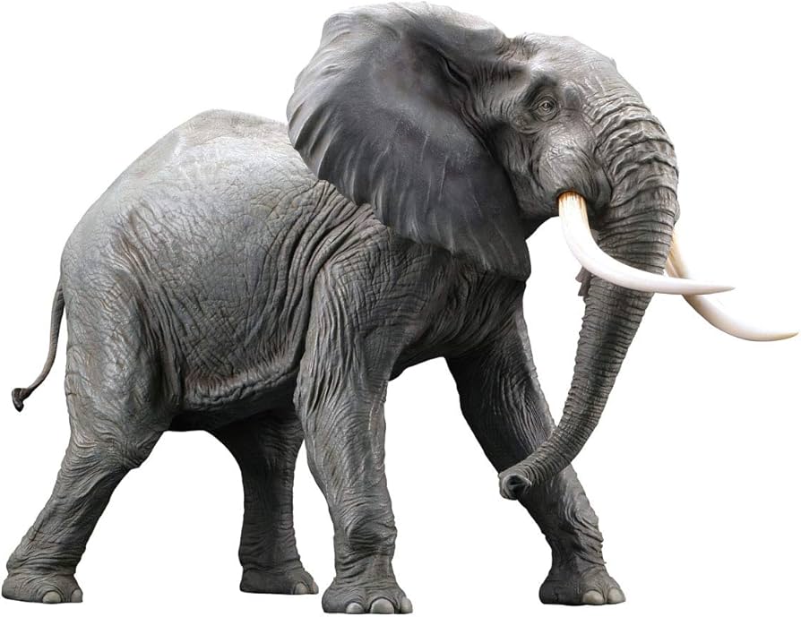 Amazon | メガソフビアドバンス アフリカゾウ リデコ版 ソフトビニール