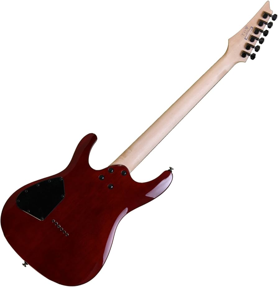 Amazon.com: Ibanez S521 - Blackberry Sunburst : Musical Instruments