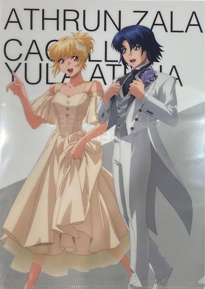 Amazon.co.jp: アスランカガリクリアファイル SEED FREEDOM : おもちゃ