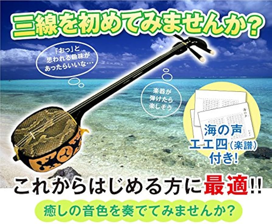 Amazon.co.jp: 三線セット（21点） 初心者に優しい！親切丁寧な楽譜