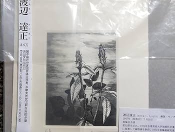 Amazon.co.jp: 渡辺達正 『草』 銅版画 直筆サイン入り モノタイプ