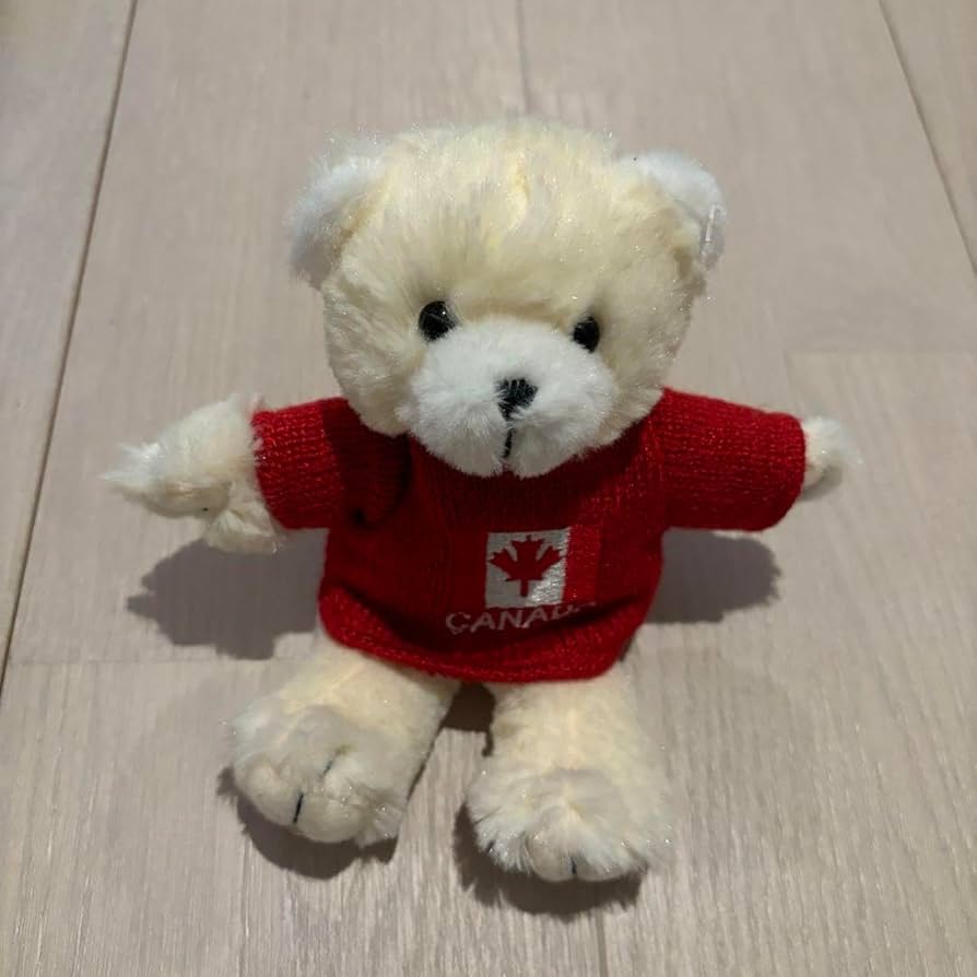 Amazon.co.jp: カナダ お土産 くま ぬいぐるみ : おもちゃ