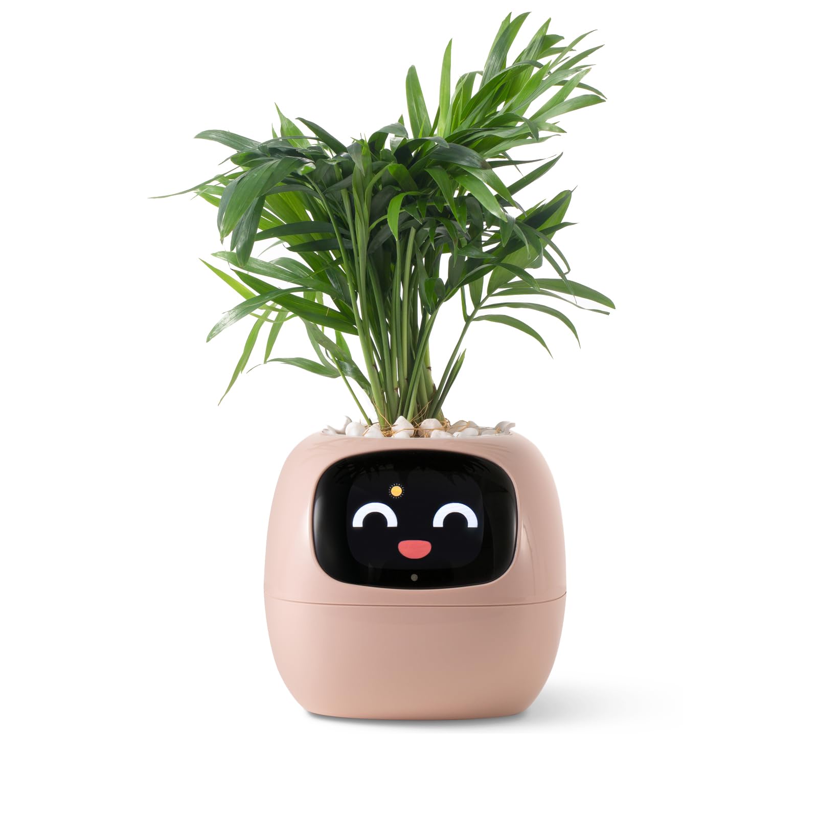 Amazon.com : PLANTSIO Smart pet Planter Robot Guidance on Plant