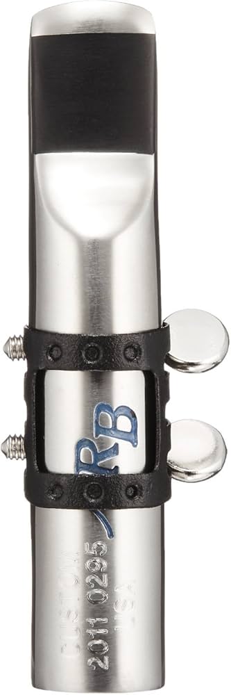 Amazon.com: ARB Mouthpiece Metal Custom Alto 8 : Electronics