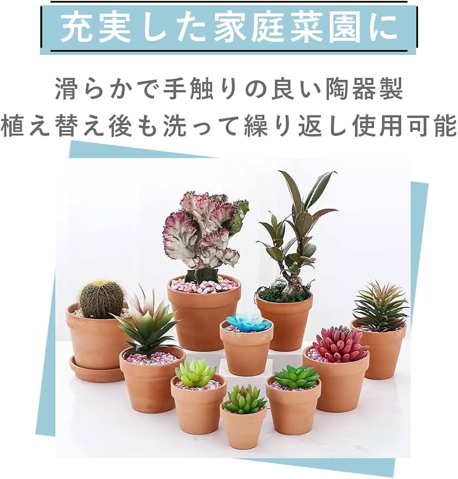 Amazon.co.jp: TKY 植木鉢 陶器鉢 多肉植物鉢 観葉植物 多肉植物 ミニ