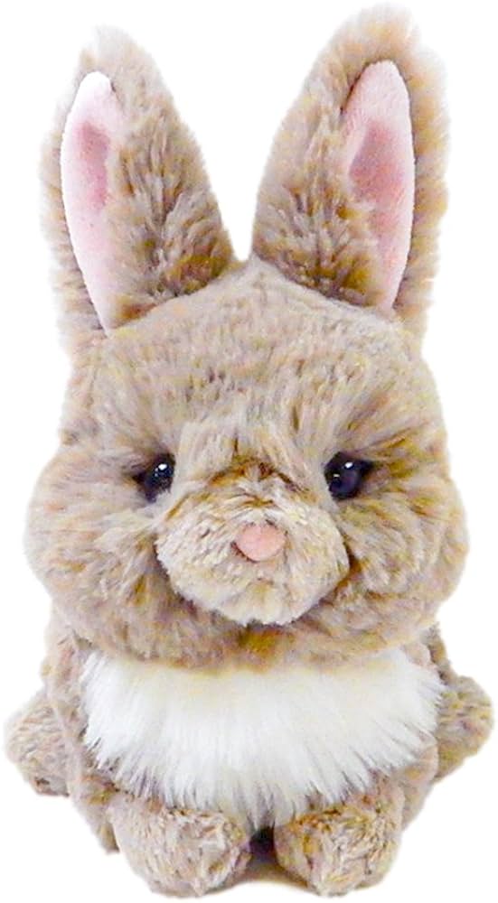 Amazon.co.jp: サンレモン ラピヌ ミニレッキス 14.6×5.8×15.4cm