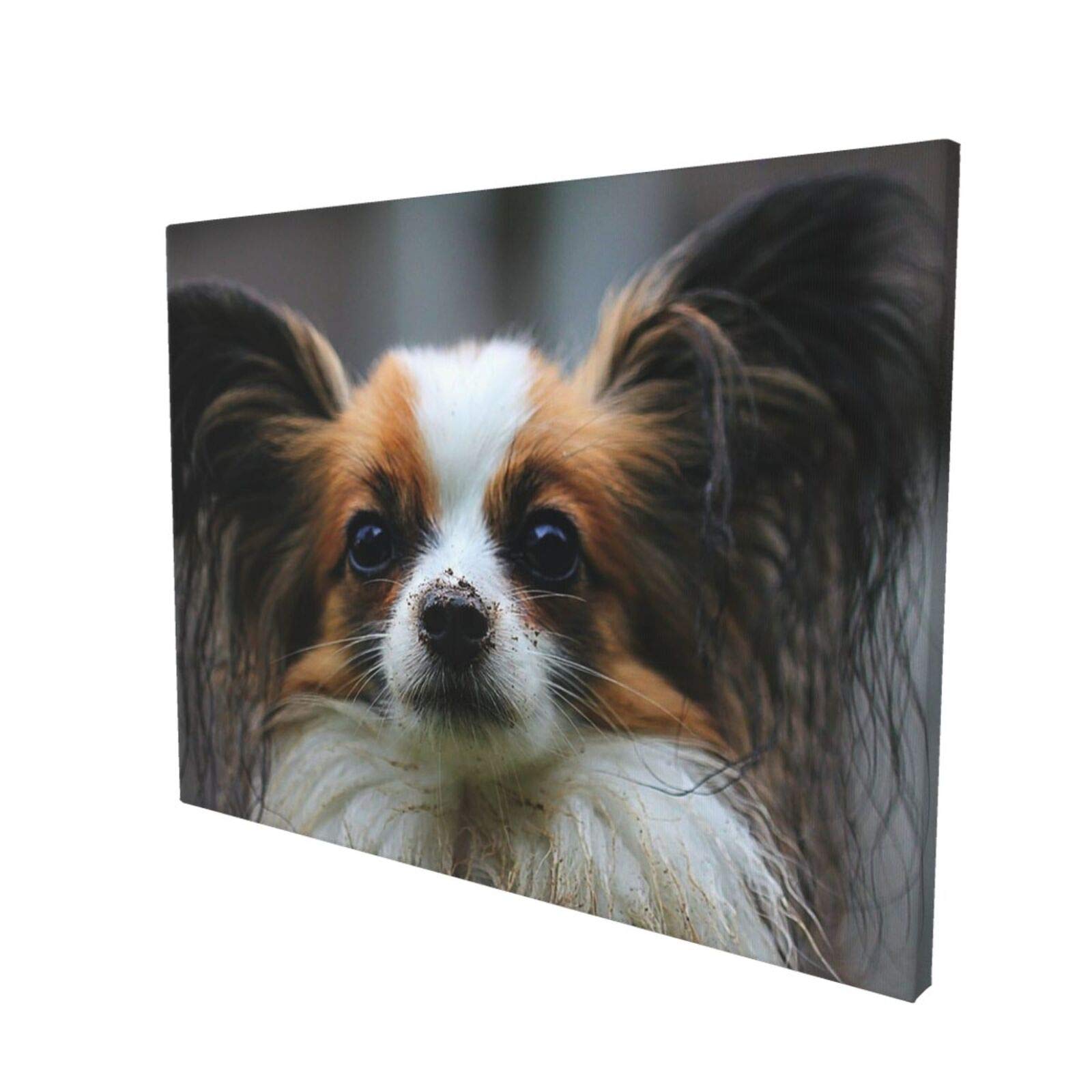 Amazon｜パピヨン かわいい犬 壁掛け 壁の絵 インテリア アート