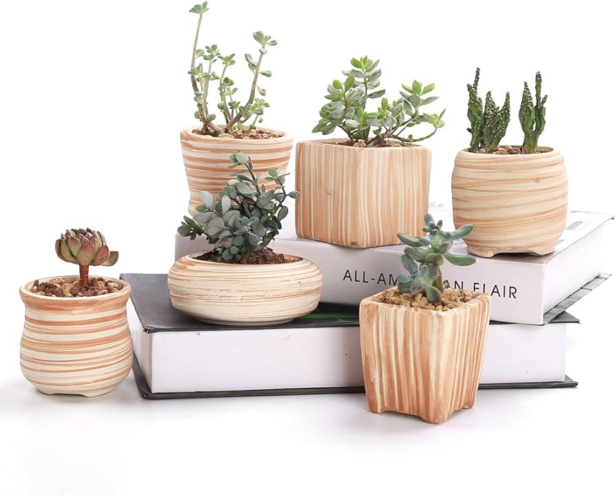 SUN-E 6 in Set 7.6 cm Ceramic Wooden Pattern Succulent Plant Pot
