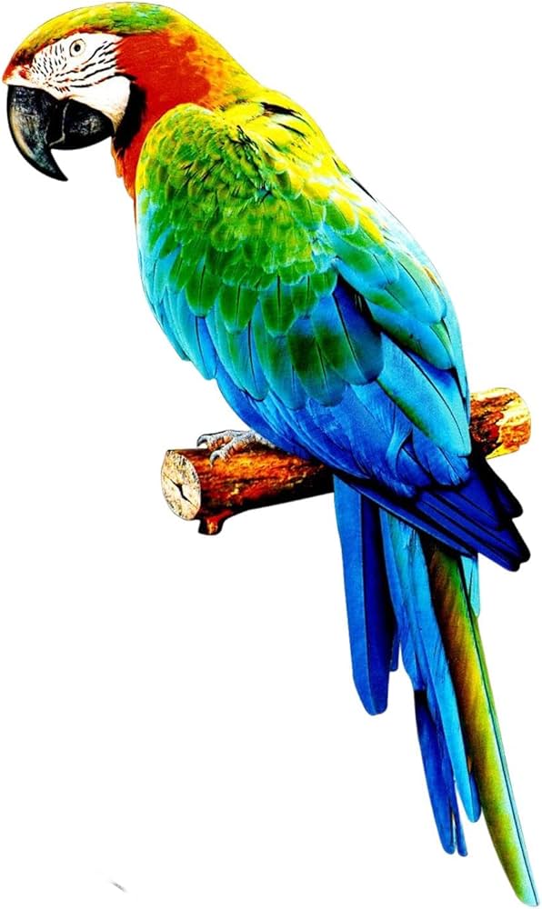 Amazon.co.jp: KLKCMS カラフルな人工オウム置物彫刻写真の