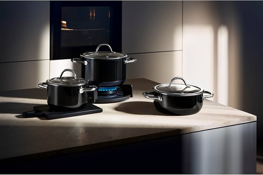 Amazon.com: WMF Fusiontec Inspire Large Cooking Pot 24 cm Glass