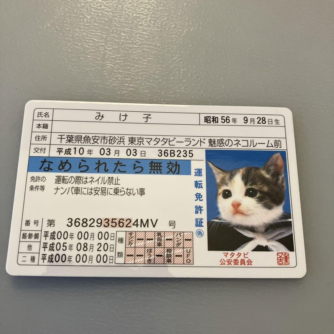 Amazon.co.jp: なめ猫 免許証 みけ子 レア なめんなよカード