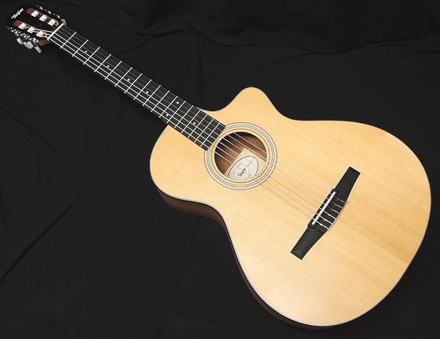 Amazon | Taylor 112ce-N Nylon テイラー エレガット ナイロン弦