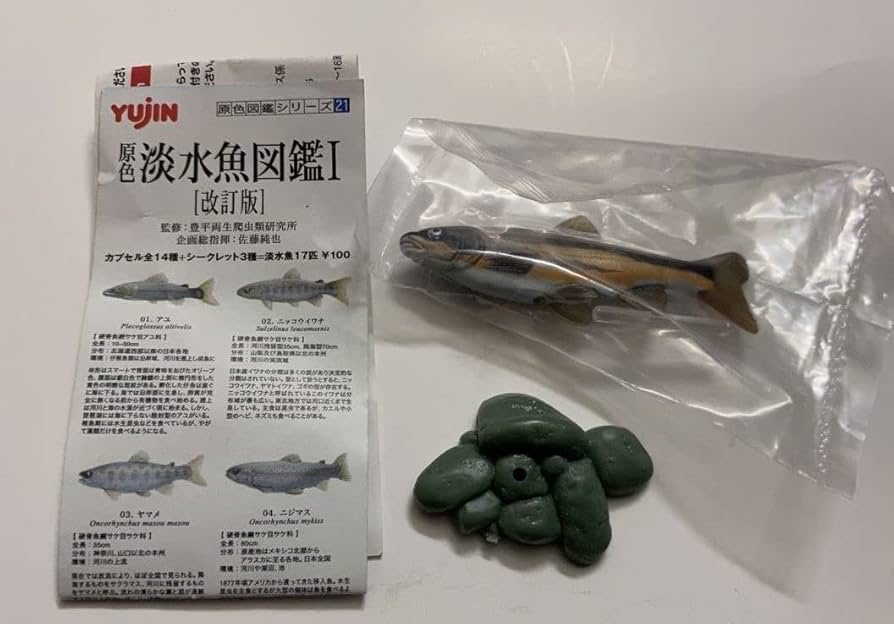 Amazon | 原色図鑑シリーズ ユージン 原色淡水魚図鑑Ⅰ 改訂版 07