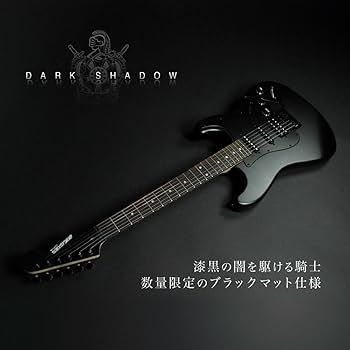 Amazon | SELDER セルダー エレキギター ストラトキャスタータイプ