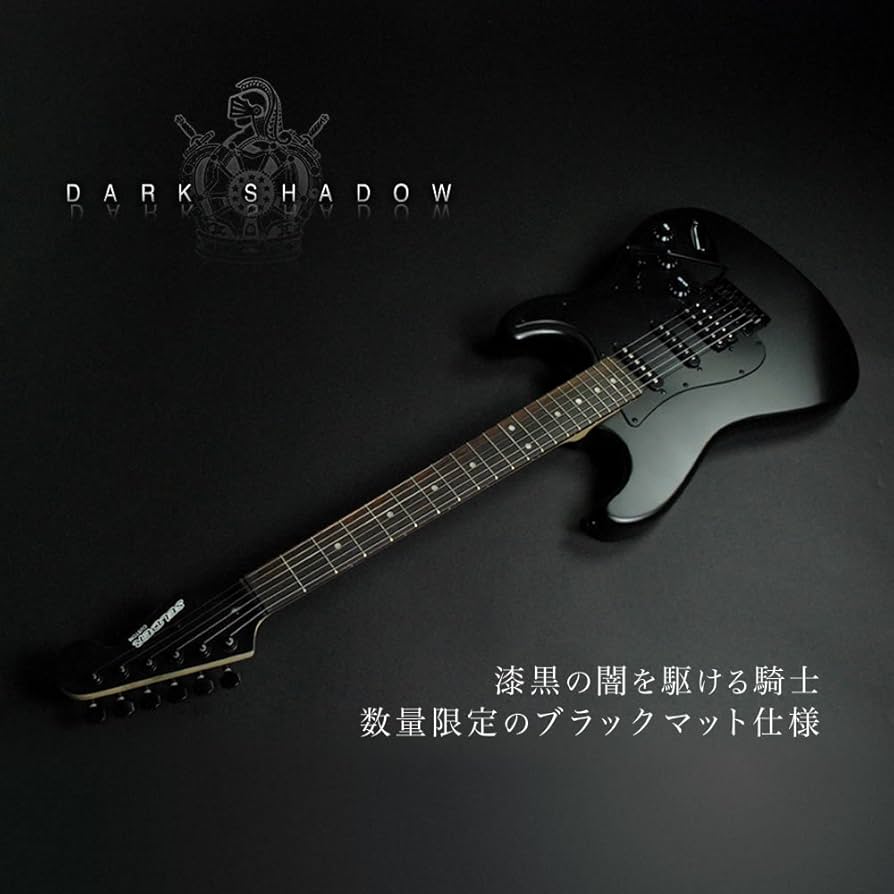 Amazon | SELDER セルダー エレキギター ストラトキャスタータイプ