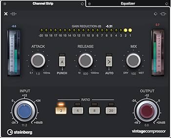 Amazon.co.jp: スタインバーグ Steinberg DAWソフトウェア CUBASE
