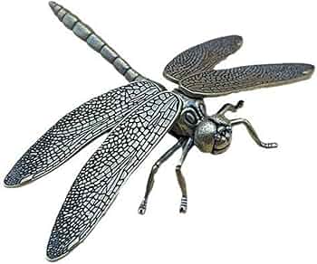 61rhWTZYaLL._AC_UF350,