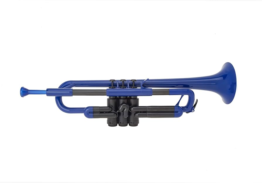 Amazon | pInstruments ピーインストゥルメンツ プラスチック製管楽器