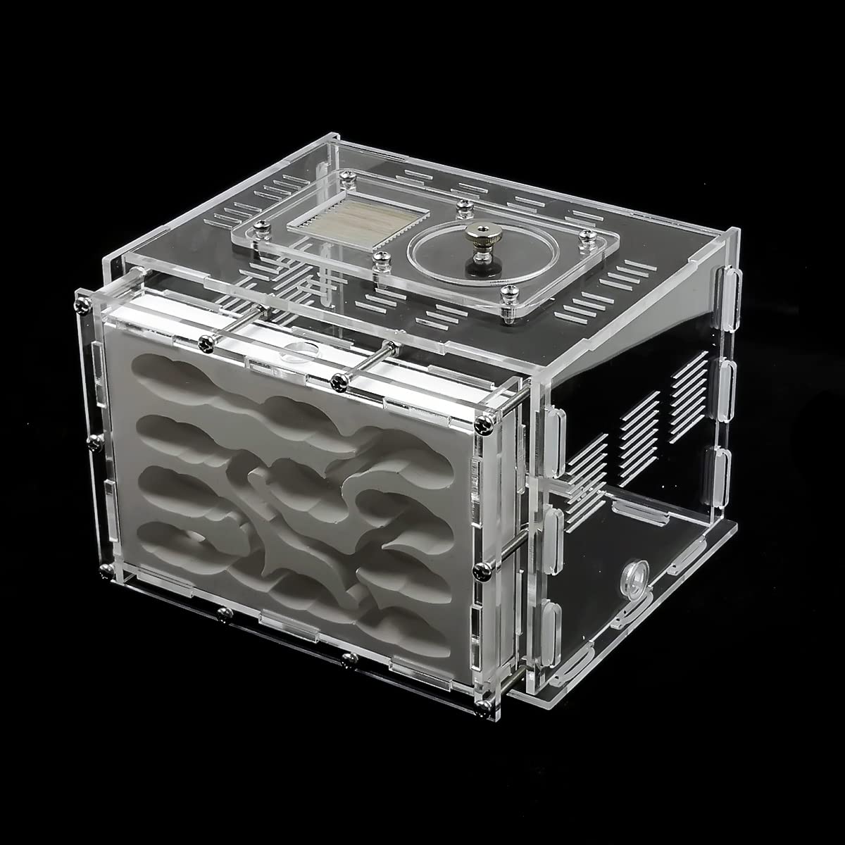 Amazon | 億騰 アリの巣観察キット アリ 自由研究 飼育ケース 飼育