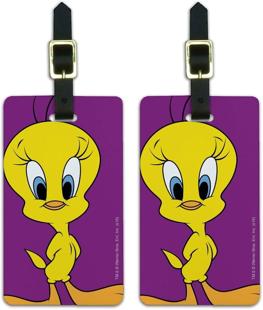 Amazon.com: Looney Tunes Tweety Bird Luggage ID Tags Suitcase