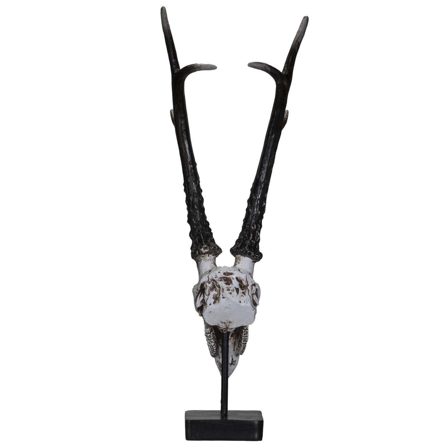 Amazon.co.jp: SUMMIT COLLECTION ポリストーン 鹿の頭蓋骨 金属製