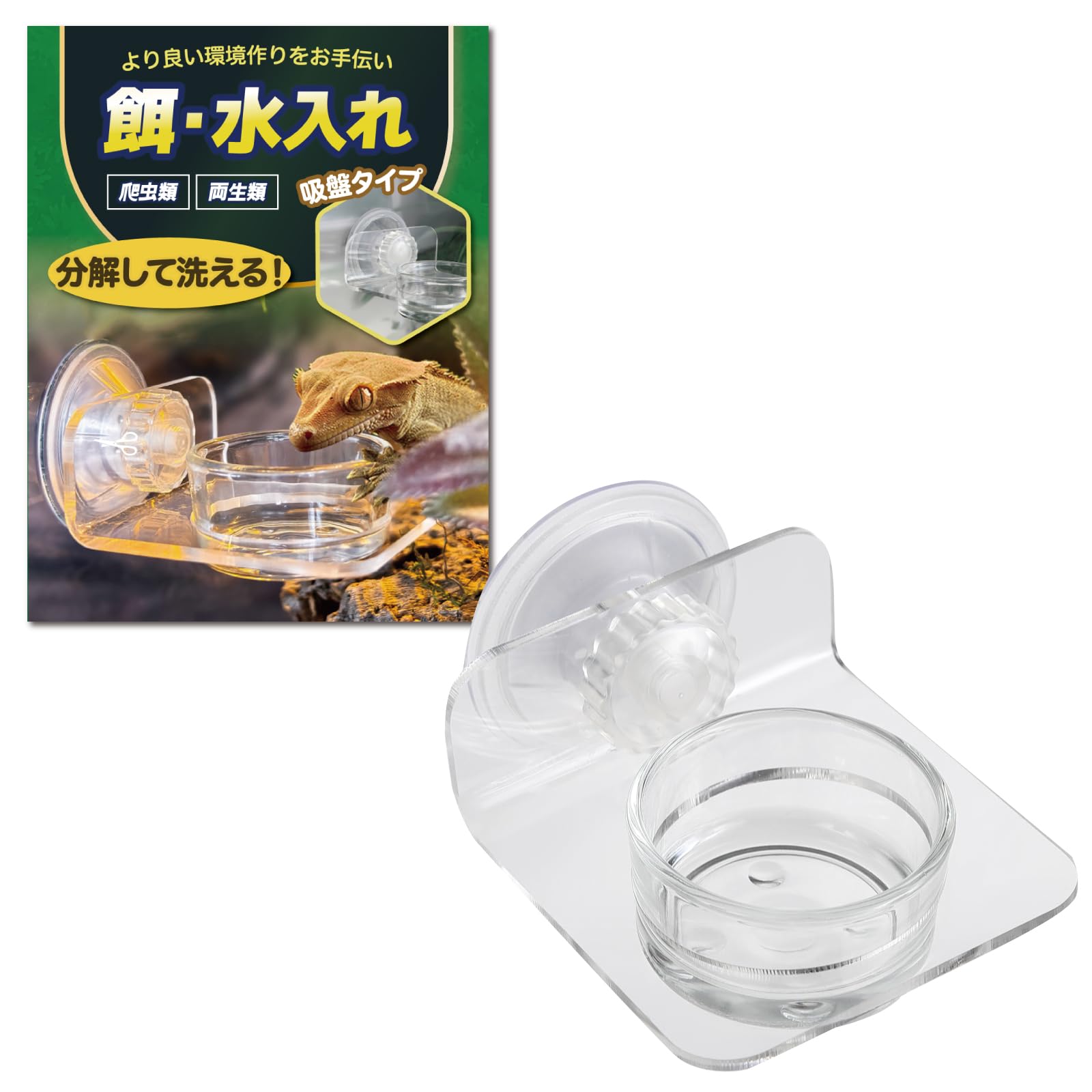 Amazon | 【プロ目線で考えた】 爬虫類 両生類 餌入れ 水入れ 吸盤固定