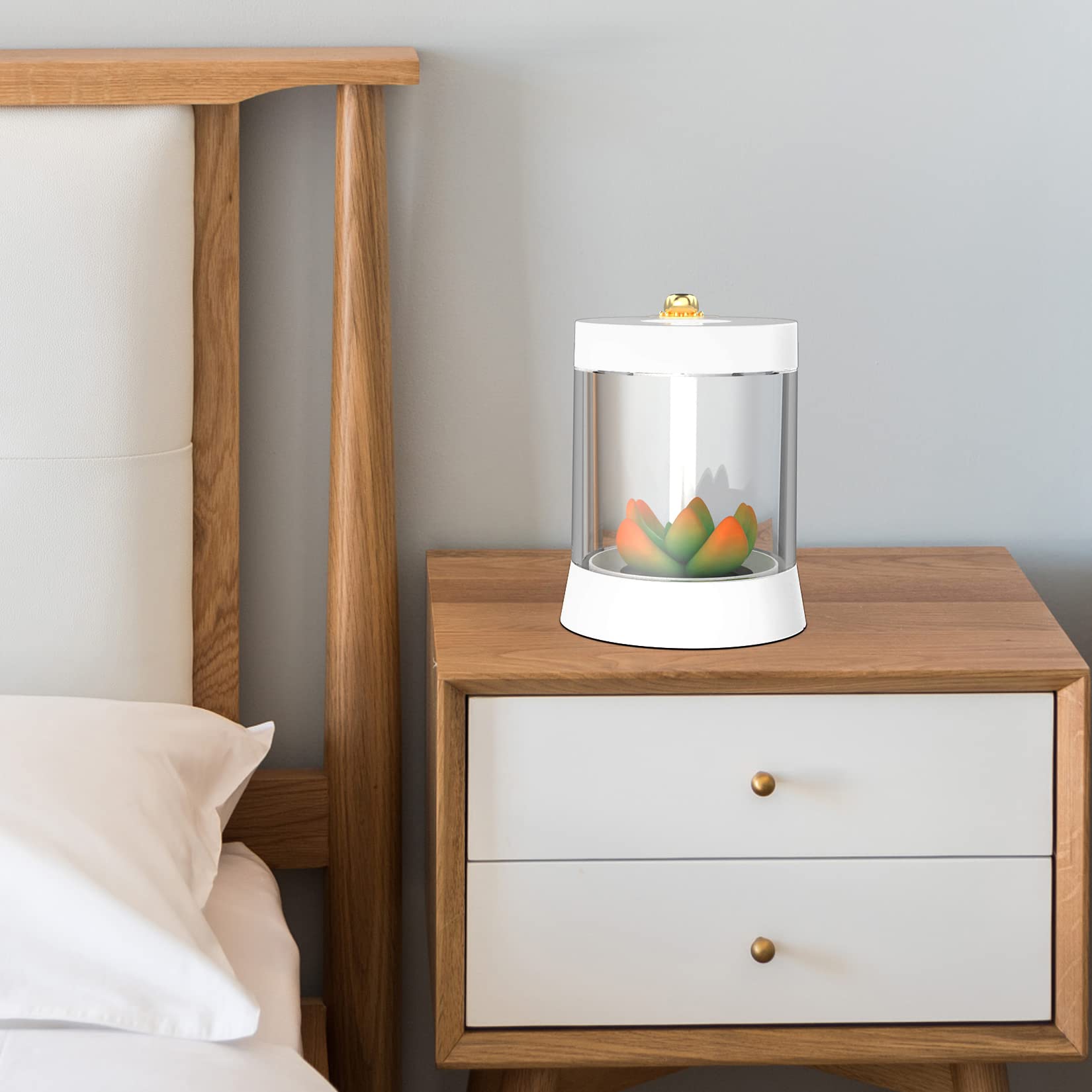 Amazon.co.jp: FTOYIN 多肉植物 ナイトライト 快適なナイトライト