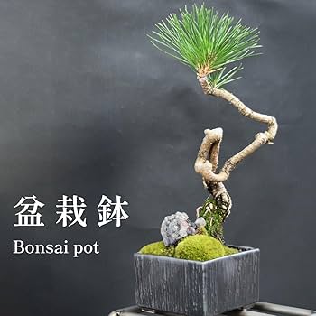 61sh8qAuLYL._AC_UF350,