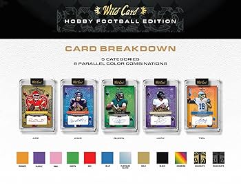 Amazon.com: 2024 Wild Card Five Card Draw Stacked Deck Football