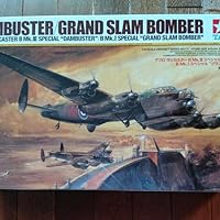 Amazon | タミヤ(TAMIYA) 1/48 傑作機シリーズ No.111 イギリス空軍