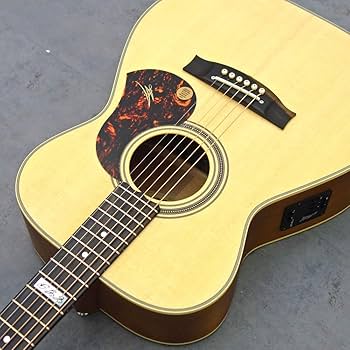 Amazon | Maton EBG808TE エレアコギター メイトン | スチール弦