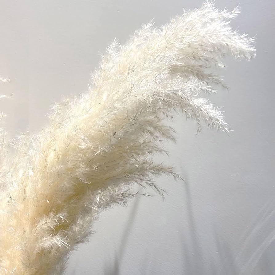 Amazon.co.jp: 白い人工パンパスグラスドライフラワーナチュラル