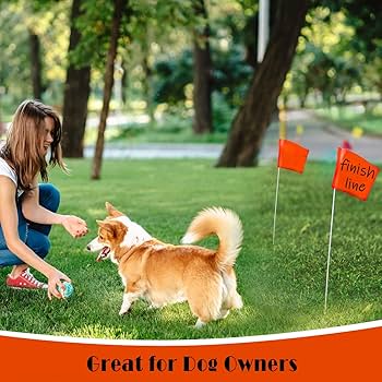 714dtNYs-0L._AC_UF350,