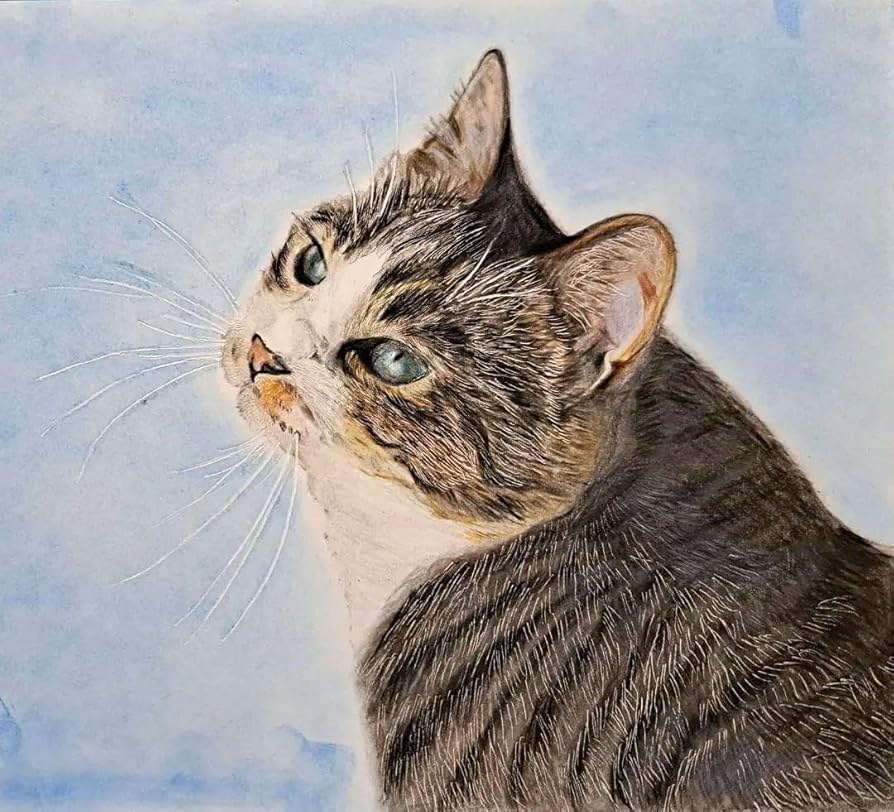 Amazon.co.jp: 色鉛筆画 猫の絵 No.43 : 文房具・オフィス用品