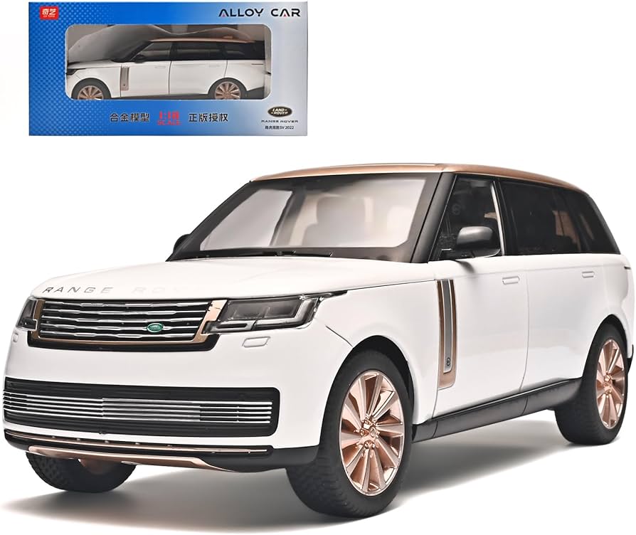 Amazon.com: RZAPE Car Toys for Boys 1/18 Diecast Cars Compatible