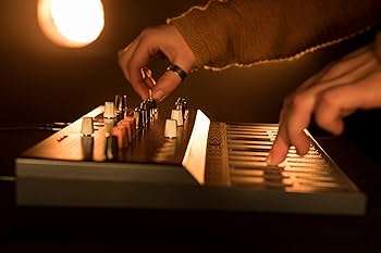 Amazon.com: Arturia - MicroFreak Synthesizer Keyboard - 25-Key