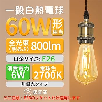 Amazon | Tengyuan エジソン電球 LED電球 フィラメント電球 e26 60W形