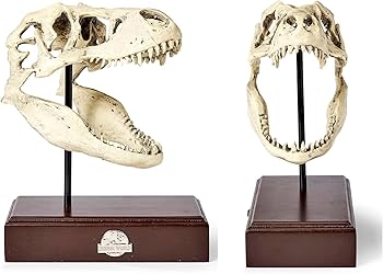 Amazon.co.jp: ジュラシックワールドティラノサウルスレックススカル