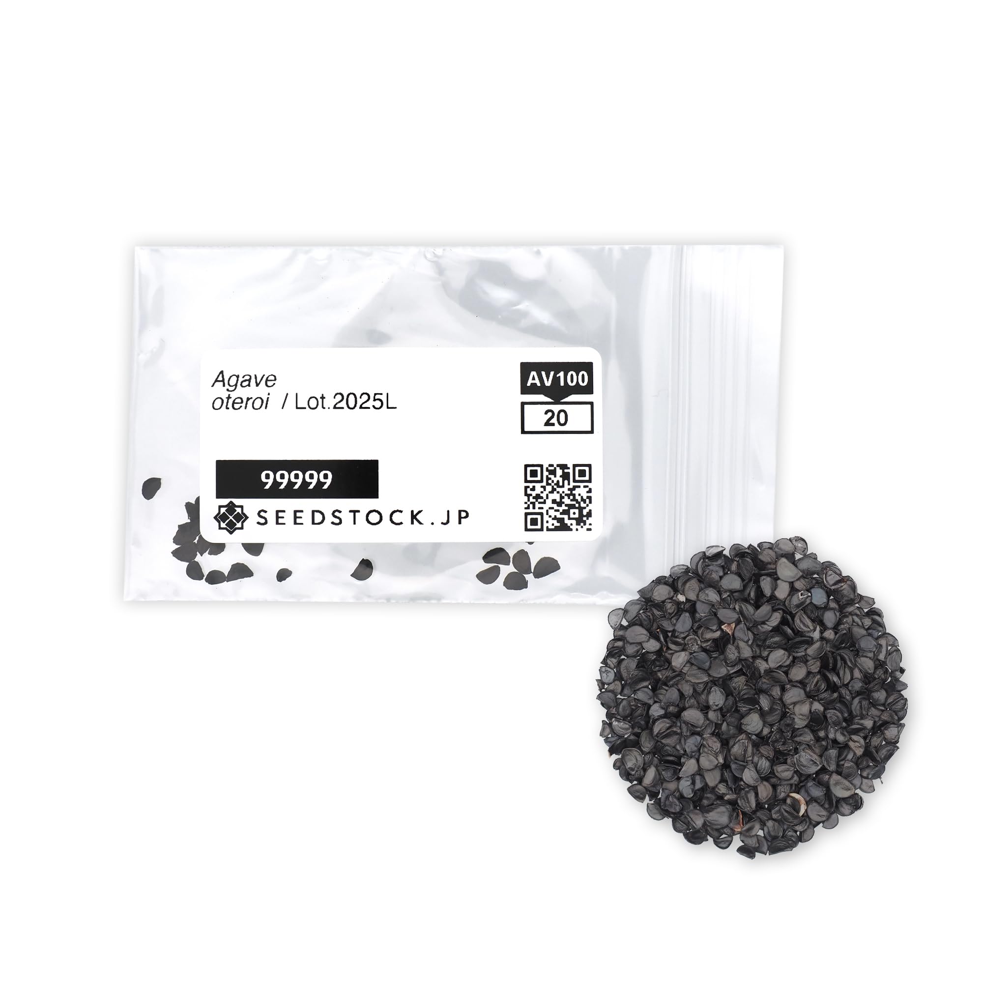 Amazon.co.jp: SEEDSTOCK アガベ オテロイ 種子 100粒 Agave oteroi