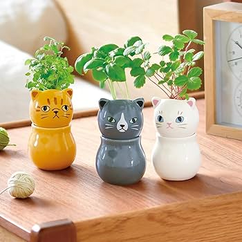 716DE136KhL._AC_UF350,