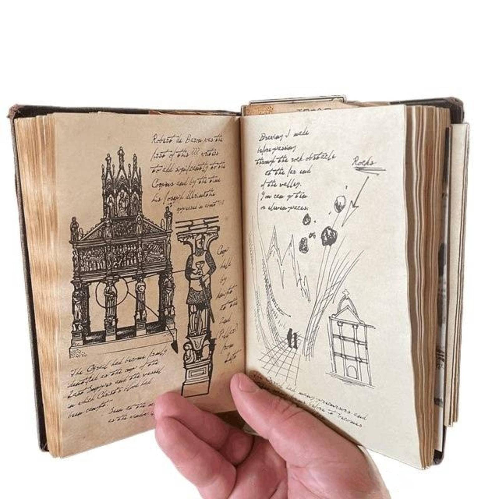 Amazon.co.jp: インディアナジョーンズ聖杯日記、インディアナ