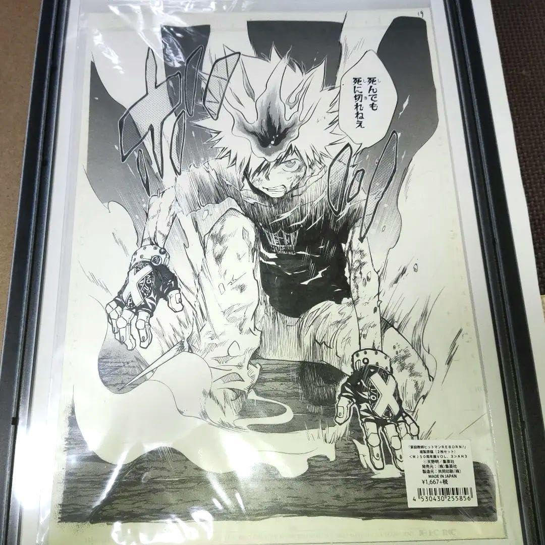 Amazon.co.jp: 家庭教師ヒットマンreborn 2018年 複製原稿 2枚セット