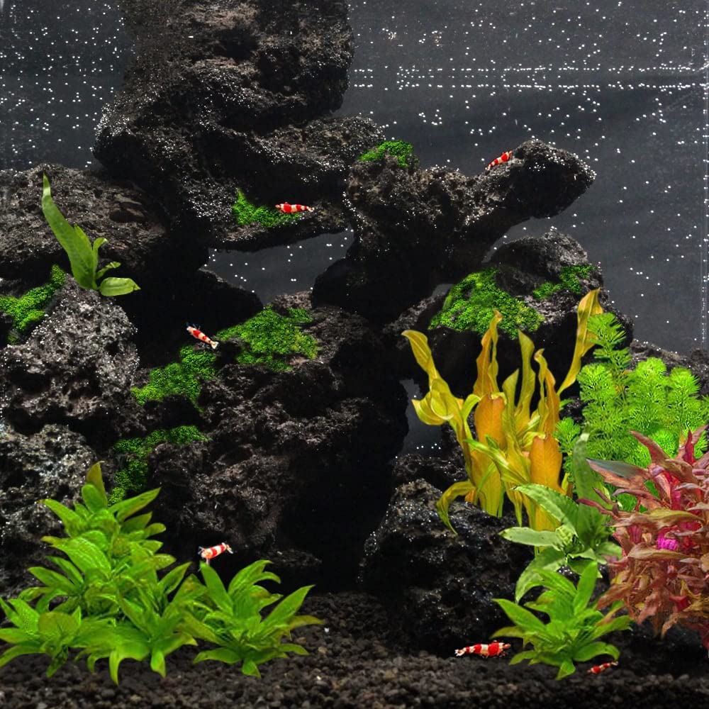 Amazon | 高濾過溶岩 国産中小型溶岩石 3~12cm 35個セット 黒系 60cm