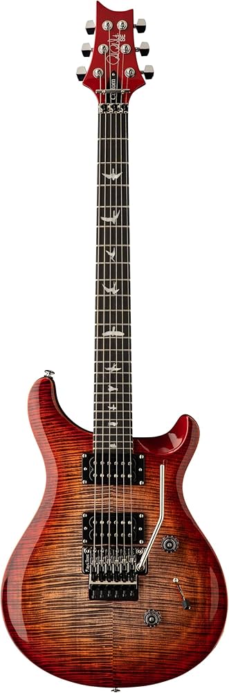 Amazon | SE Custom24 Floyd Charcoal Cherry Burst | エレキギター