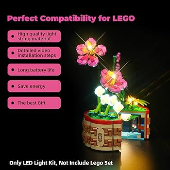 Amazon.com: Rorliny LED Light Kit for Lego 43252 Creator Moana's